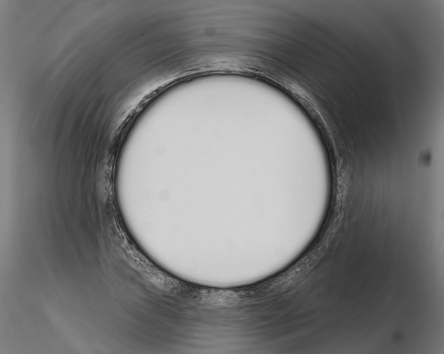 X0000115111019200912081316