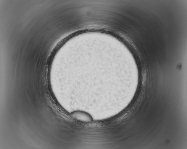 X0000115111021200912081316