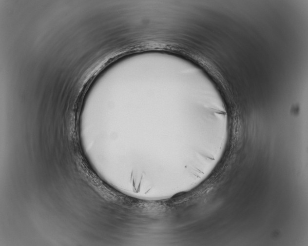 X0000115111023200912081316