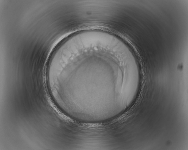 X0000115111024200912081316