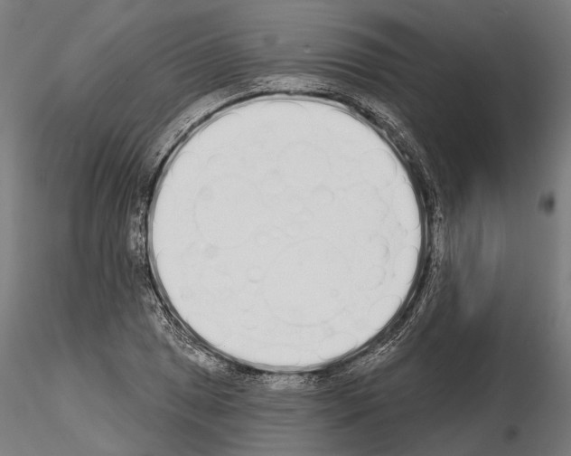 X0000115111025200912081316