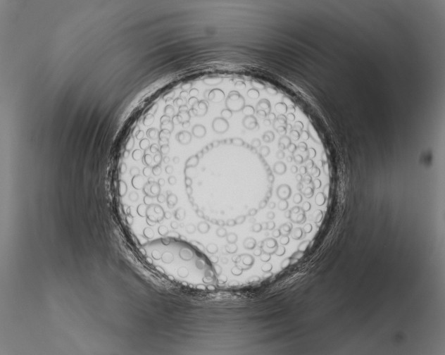 X0000115111026200912081316