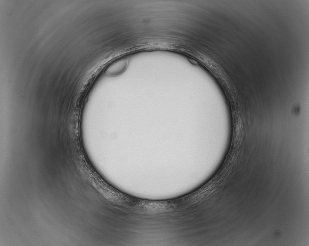 X0000115111027200912081316