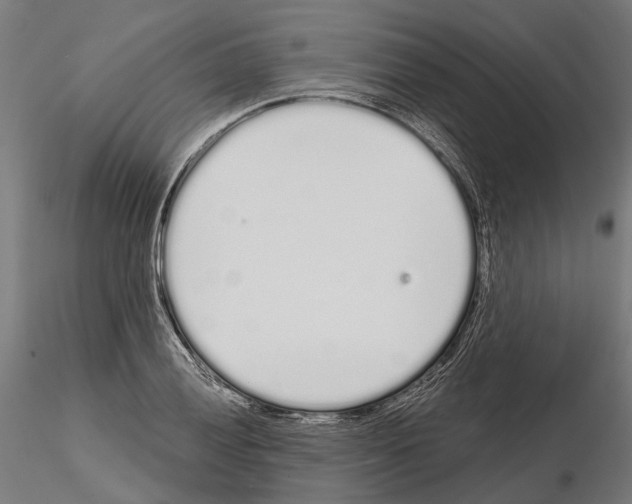 X0000115111028200912081316