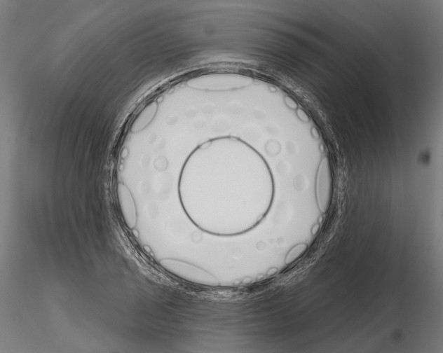 X0000115111029200912081317