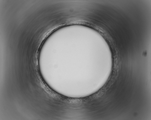 X0000115111031200912081317