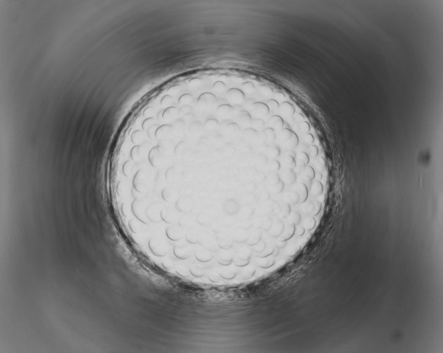 X0000115111032200912081317