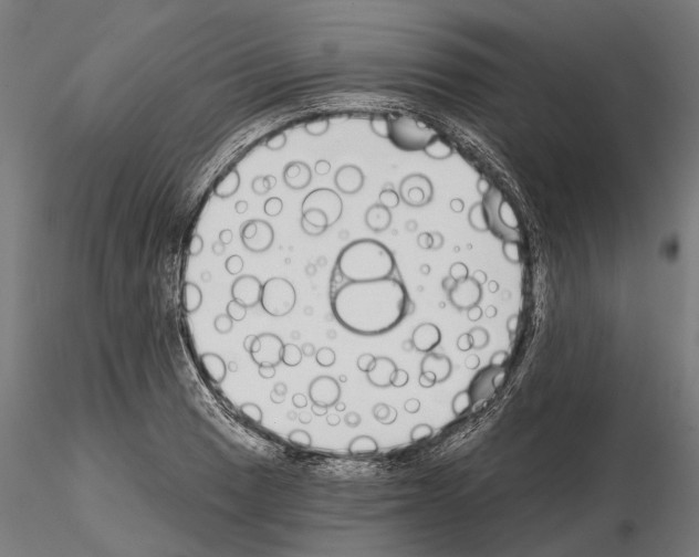 X0000115111033200912081317