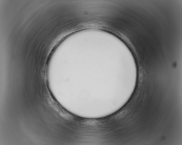 X0000115111035200912081317