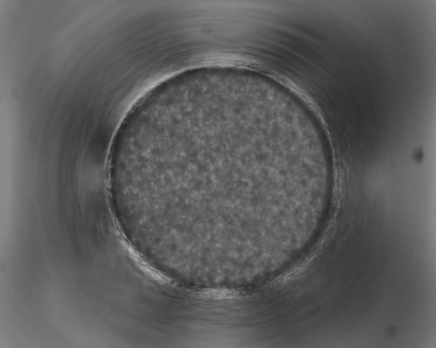 X0000115111037200912081317