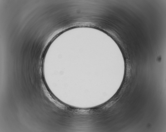 X0000115111038200912081317