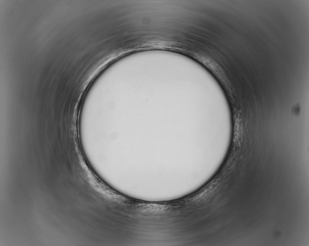 X0000115111039200912081317