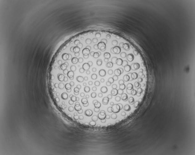 X0000115111040200912081317