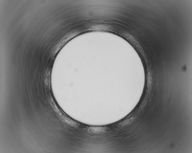 X0000115111041200912081317