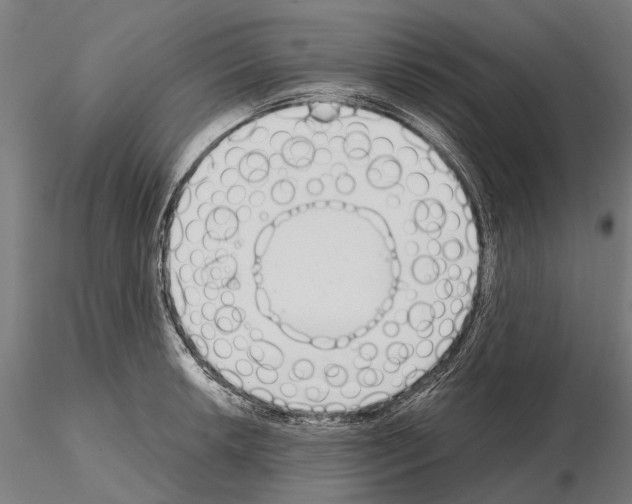 X0000115111042200912081317