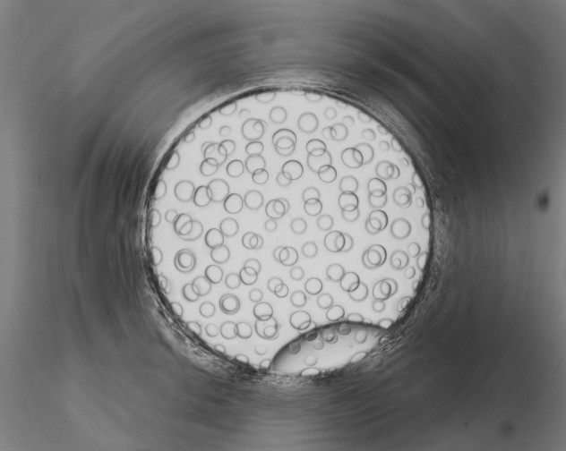 X0000115111044200912081317