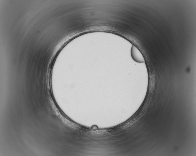 X0000115111046200912081317