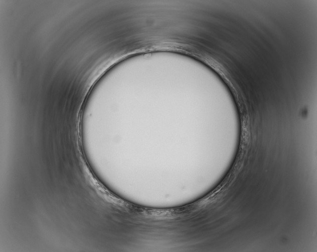 X0000115111047200912081317