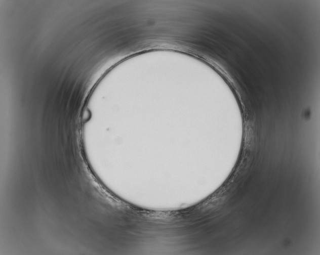 X0000115111048200912081317