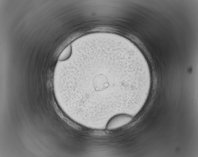 X0000115111049200912081317