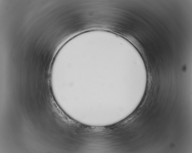 X0000115111052200912081317