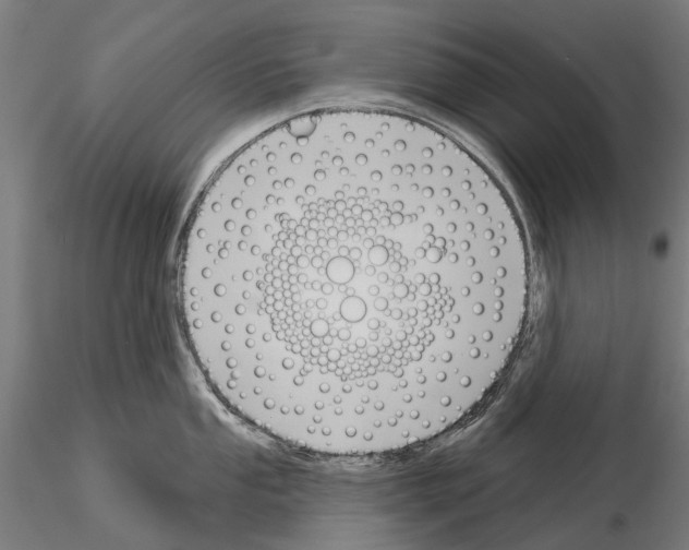 X0000115111053200912081317