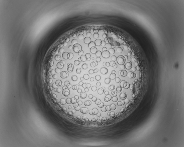 X0000115111054200912081317