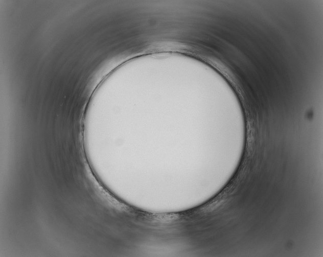 X0000115111055200912081317