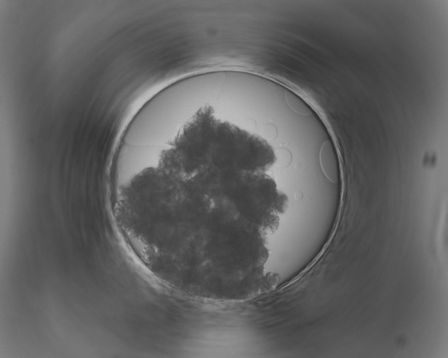 X0000115111056200912081317