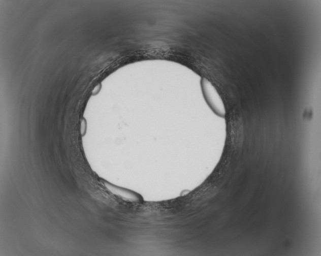 X0000115111057200912081316