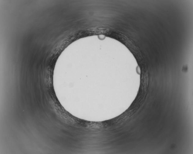 X0000115111058200912081316