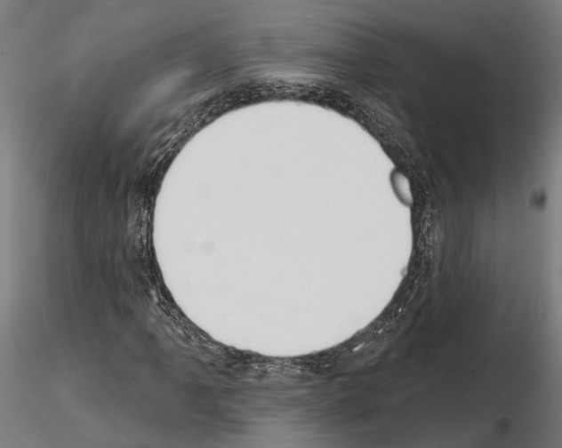 X0000115111061200912081316