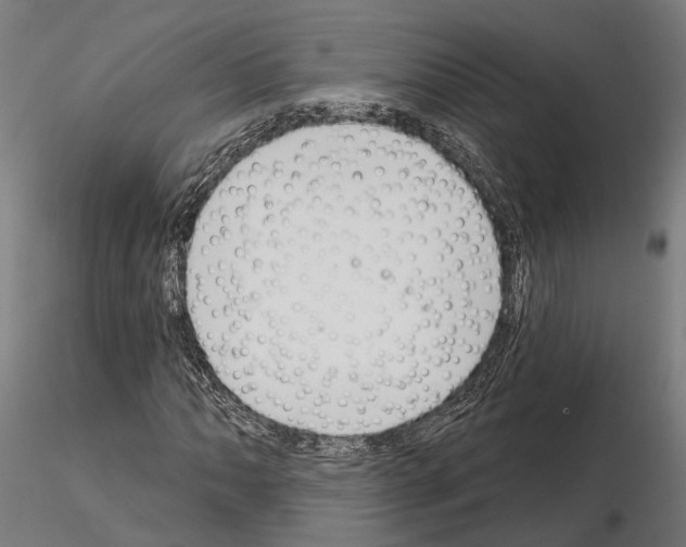 X0000115111062200912081316