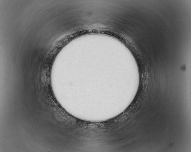 X0000115111063200912081316