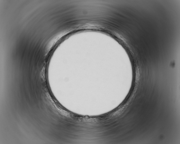 X0000115111066200912081316