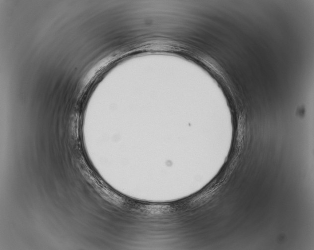 X0000115111067200912081316