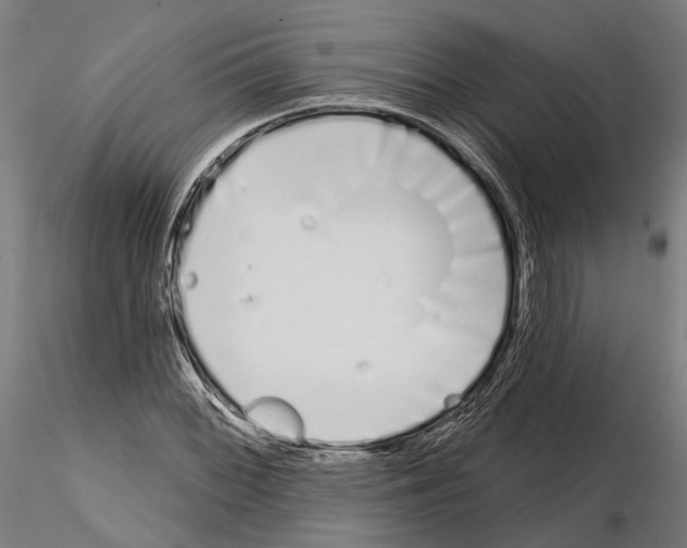 X0000115111068200912081316