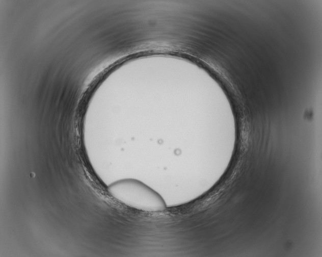 X0000115111070200912081316