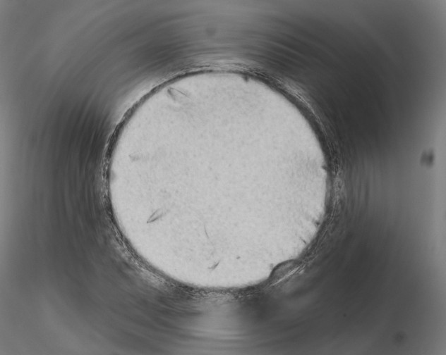 X0000115111071200912081316