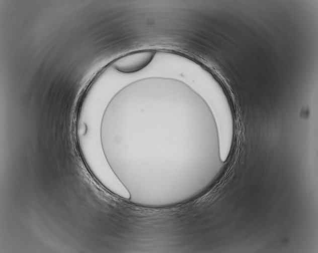 X0000115111072200912081316