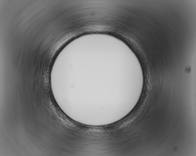 X0000115111073200912081316