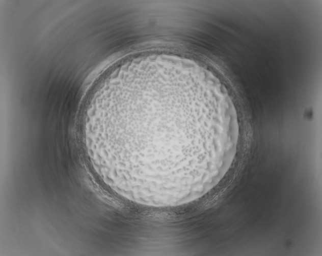 X0000115111074200912081316