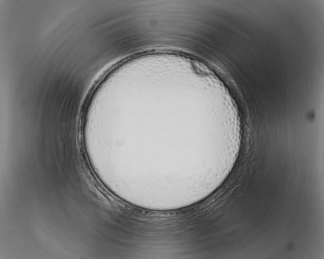 X0000115111076200912081316