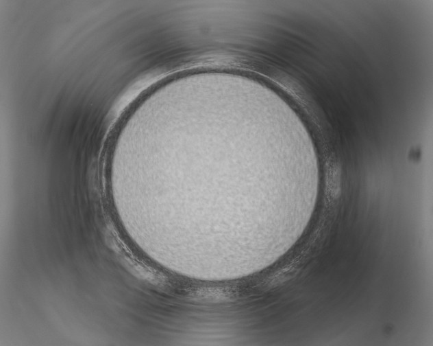 X0000115111078200912081316