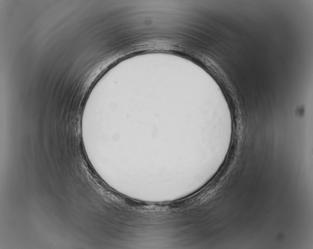 X0000115111081200912081316