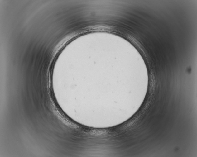 X0000115111082200912081316