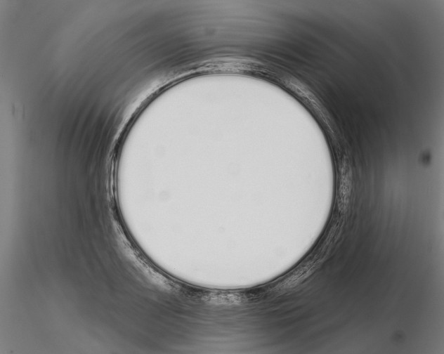 X0000115111083200912081316