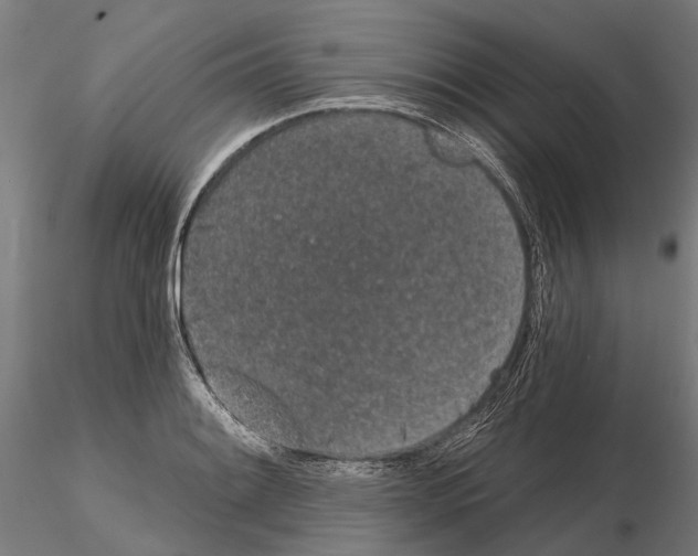 X0000115111084200912081316