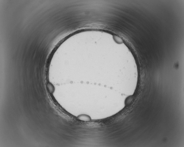 X0000115111085200912081316