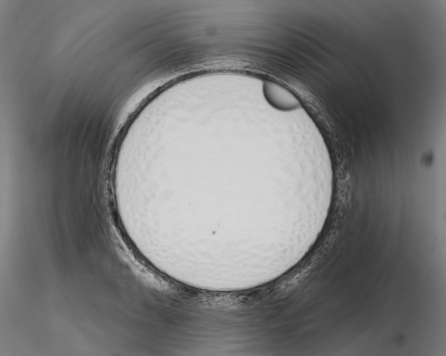 X0000115111086200912081316